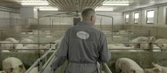 Bauer unser Bauer unser