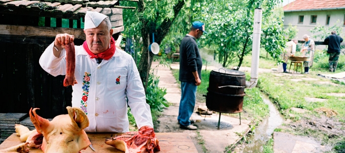 Cooking History Cooking History