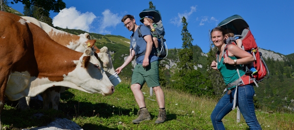 Aufgetischt (12. Staffel) Aufgetischt (12. Staffel)