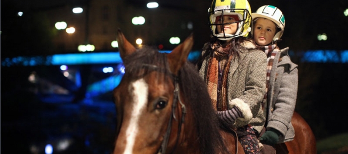 Das Pferd auf dem Balkon Das Pferd auf dem Balkon
