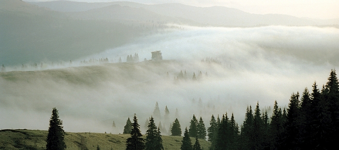 Karpaten. Leben in Draculas Wäldern Karpaten. Leben in Draculas Wäldern