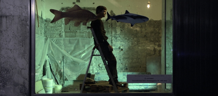 Kleine Fische Kleine Fische