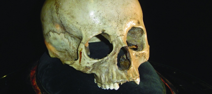 Mozart. Eine Spurensuche Mozart. Eine Spurensuche