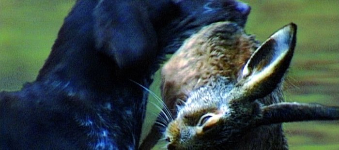 The End of the Neubacher Project The End of the Neubacher Project