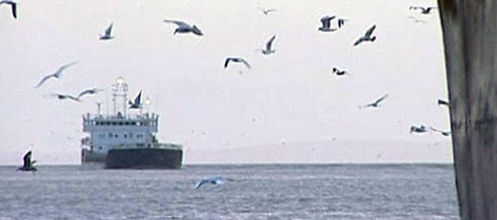 Vielleicht habe ich Glück gehabt Vielleicht habe ich Glück gehabt