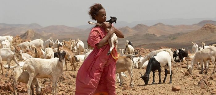 Desert Flower Desert Flower