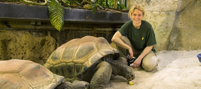 Aufgetischt (Season 6) Aufgetischt (Season 6)