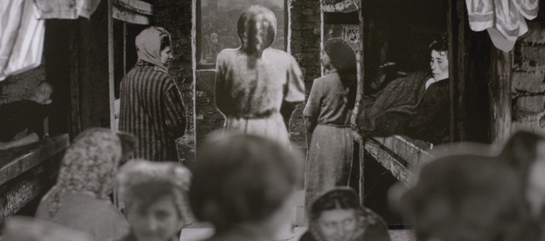 Love, it was not Love, it was not