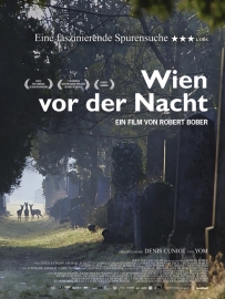 Wien vor der Nacht