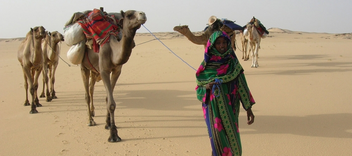 Winds of Sand, Women of Rock